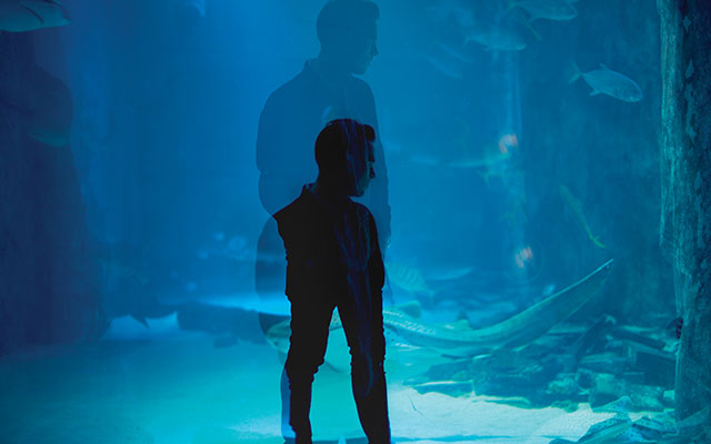 Jackmaster---Aquarium-2014-(2)